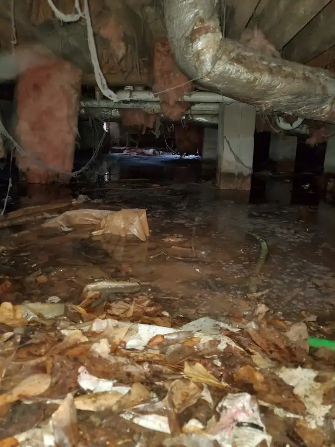 Crawl space flood assessment for Commercial Water Damage Restoration in Tyler