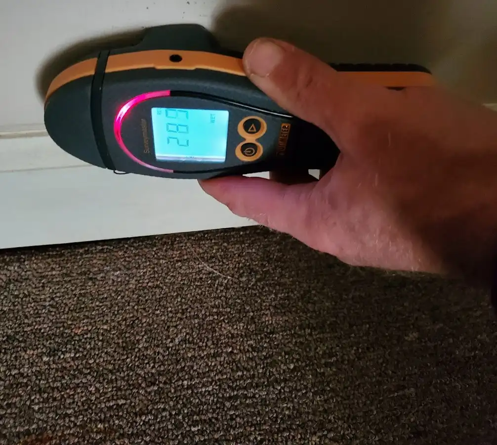 Moisture detection at baseboard during Sewage Cleanup & Sanitation in Tyler